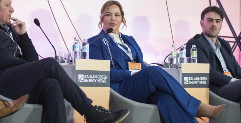 Kompanije navikavaju aktivniju ulogu trzistu elektricne energije Neda Lazendic