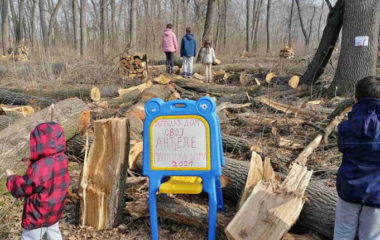 Polojska suma Backa Palanka