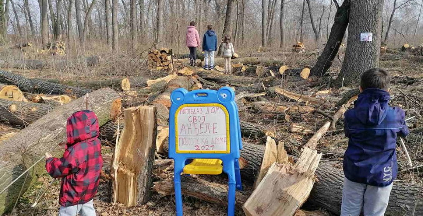 Polojska suma Backa Palanka