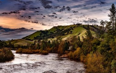 Savet za borbu protiv korupcije prodaja Instituta Jaroslav Cerni je protivzakonita i nije u interesu gradjana, pa mora biti ponistena