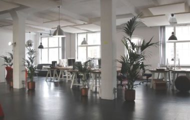 Sobno bilje za kvaliterniji vazduh u domu ili na poslu