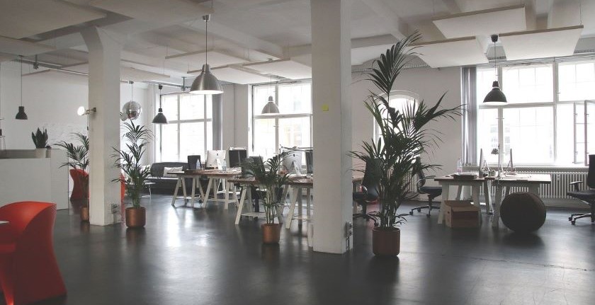 Sobno bilje za kvaliterniji vazduh u domu ili na poslu