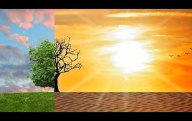 Moramo trčati, a ne hodati, da bismo se izborili sa klimatskim promenama