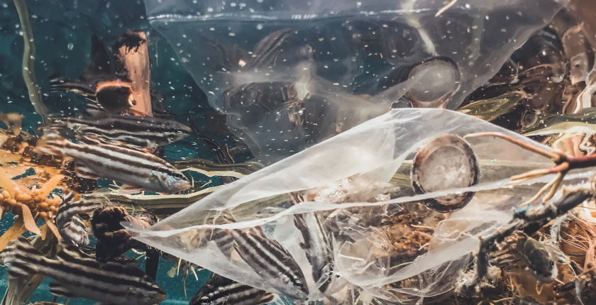 Albanija zabranila jednokratne plasticne kese