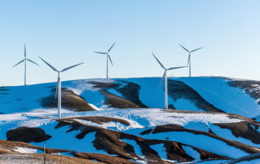 E Grus koinvestitora vetroelektrane Golic