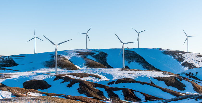 E Grus koinvestitora vetroelektrane Golic