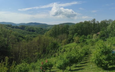bernska konvencija jadar rudnik litijum zalba rio tinto