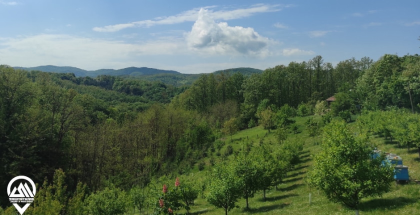 bernska konvencija jadar rudnik litijum zalba rio tinto