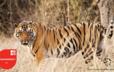 IUCN Crvena lista 2022a