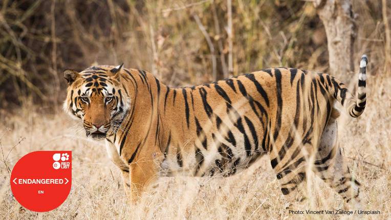 IUCN Crvena lista 2022a