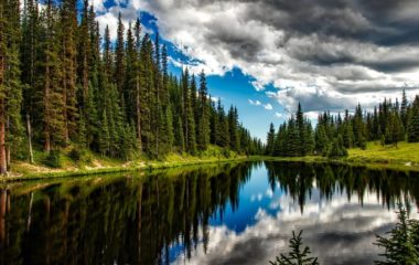 ekolosko pravo regionalni centar