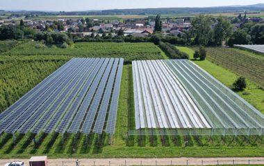 agrosolar-Fraunhofer-ISE