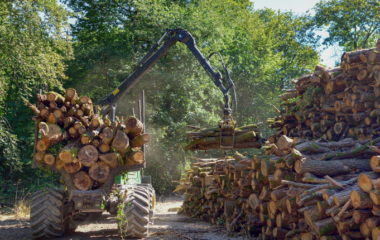 cena peleta ogranicena srbija