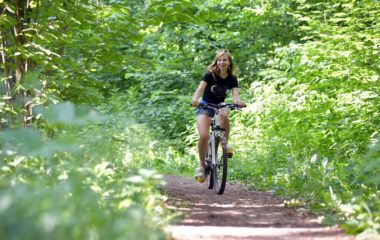 kupi-bajs-subvencije-bickl