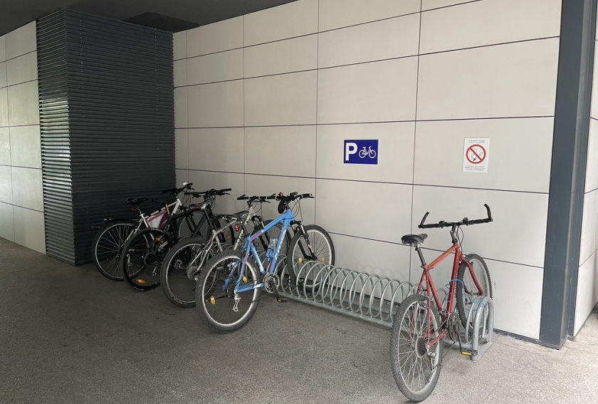 Foto Nikola Petkovic