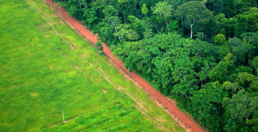Tri najveće centralne banke dele odgovornost za krčenje šuma u Amazonu