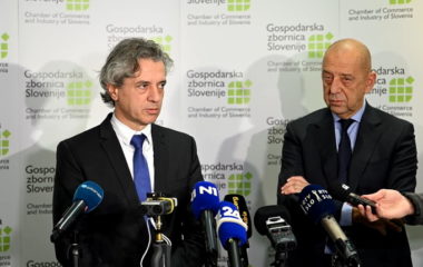 golob cene struje gospodarska zbornica slovenije