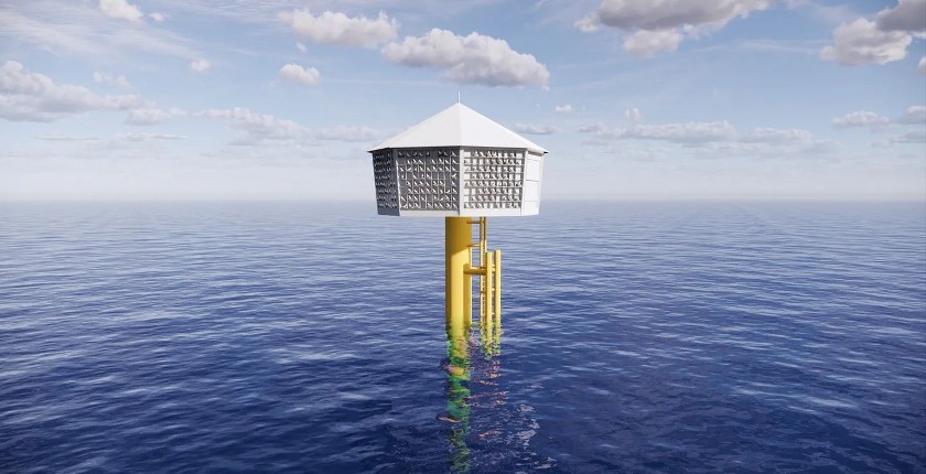 Postavljanje gnezda za galebove uslov za izgradnju najvećeg vetroparka na moru Hornsea 3