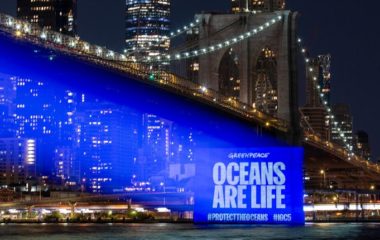 Brod je stigao do obale: Globalni sporazum o zaštiti mora konačno usvojen u UN-u