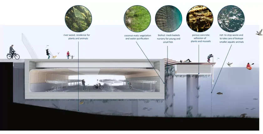 IJboulevard VenhoevenCS Ecology