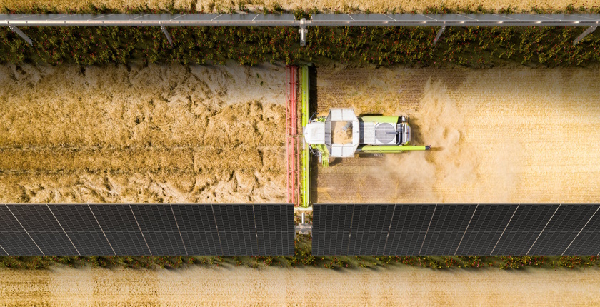 Vrednost agrosolarnog tržišta do 2030. biće 9,3 milijarde dolara