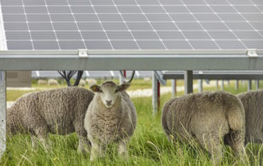 Na-granici-Crne-Gore-Srbijom-agrosolarni-148-megavata-BSD-Invest-Mont