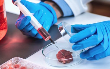 Laboratorijsko meso je 25 puta štetnije za životnu sredinu od govedine, pokazuje nova studija