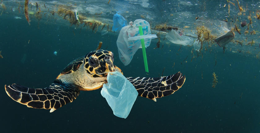 Zašto gubimo biodiverzitet 2