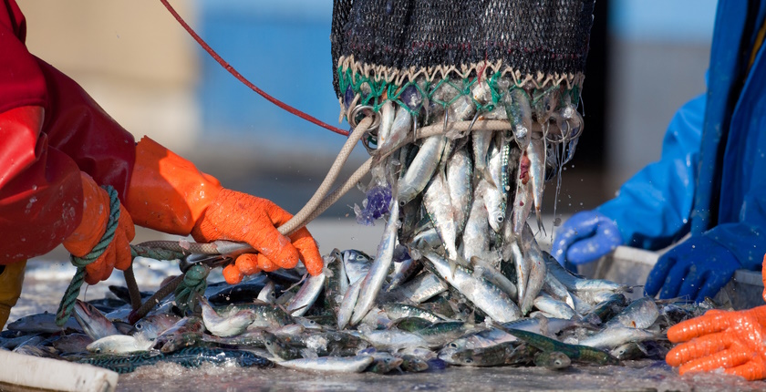 Zašto gubimo biodiverzitet 3