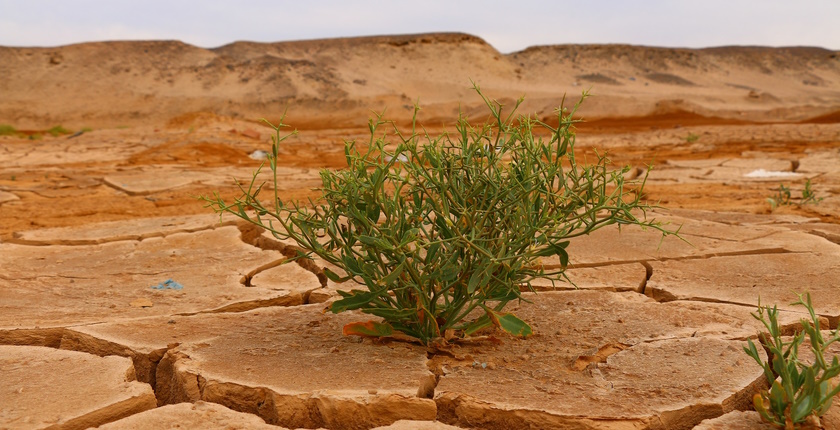 Zašto gubimo biodiverzitet 4