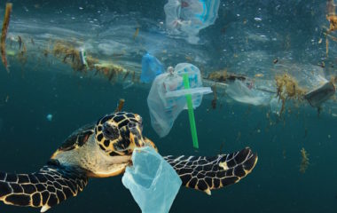 Svetski dan zivotne sredine: pobedimo zagadjenje plastikom