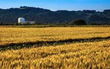 Novom strategijom prostornog plana Slovenija se sprema za novu nuklearku i male modularne reaktore