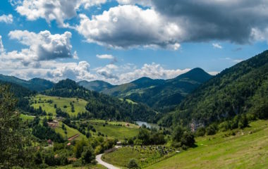 Javni poziv organizacijama civilnog drustva za clanstvo u Radnoj grupi za izradu Predloga programa zastite prirode Republike Srbije 2024-2032