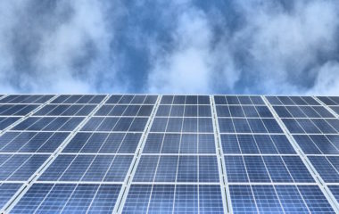 Stocari u Crnoj Gori negoduju zbog zauzimanja poljoprivrednog zemljista za izgradnju solarnih elektrana