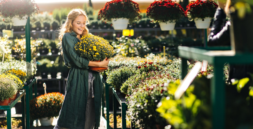 Zamenite stari papir za sadnice