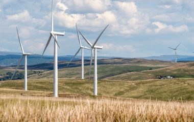 Aktivisti u Francuskoj se izborili za zatvaranje vetroelektrane kako bi zastitili biodiverzitet