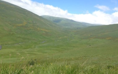 np mavrovo mhe ribnicka bernska konvencija