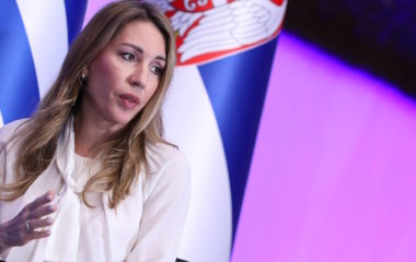 Djedovic Dedovic Lezimo na milijardama od strateskih mineralnih sirovina