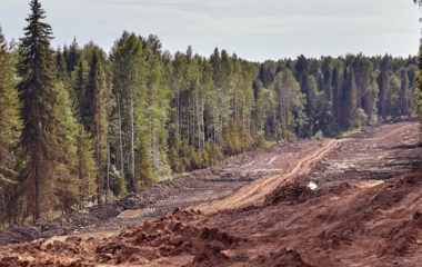 Ekocid-Belgija-krivicni-zakon