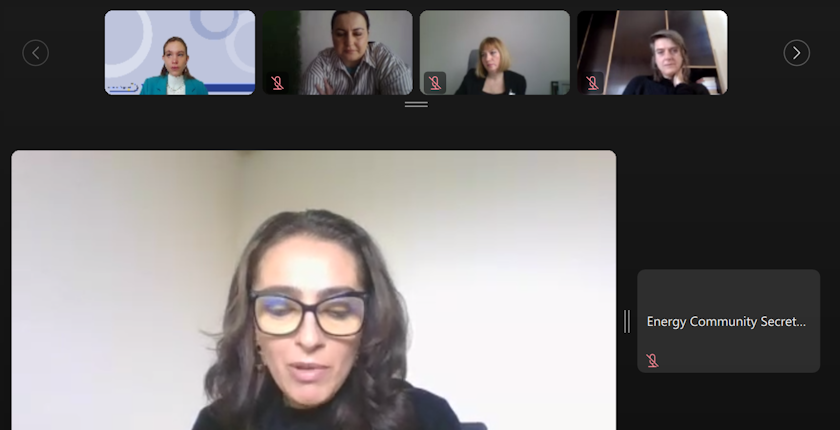 Energetska zajednica oraganizovala vebinar o žename preduzetnicama u energetici