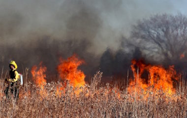 Evropa nije spremna na klimatske ekstreme sa kojima se suocava
