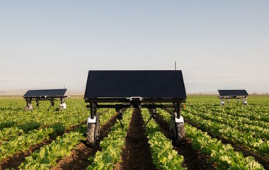 Robot za plevljenje korova koji pokrece solarna energija