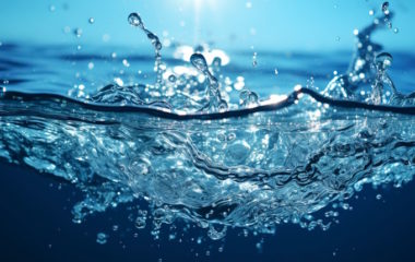 Svetski dan voda 2024, voda za mir