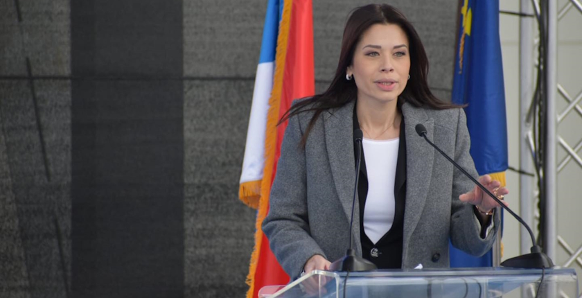 Dedovic Djedovic Irena Vujovic ministarka