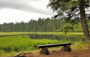 slovenija pohorje rogla vetroparkovi gradnja