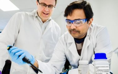 Baterija napravljena od cinka i lignina