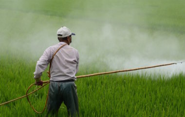 Opasni herbicid glifosat u evropskim rekama ne potice iz poljoprivrede