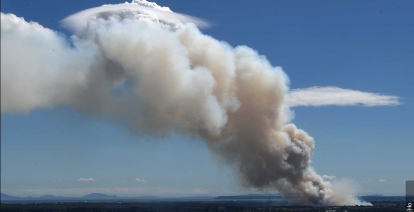 Veliki sumski pozari mogu da izazovu formiranje vatrenih oblaka