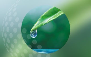 hrvatska vodonik studija plana razvoja i primjene hrvatske strategije za vodik