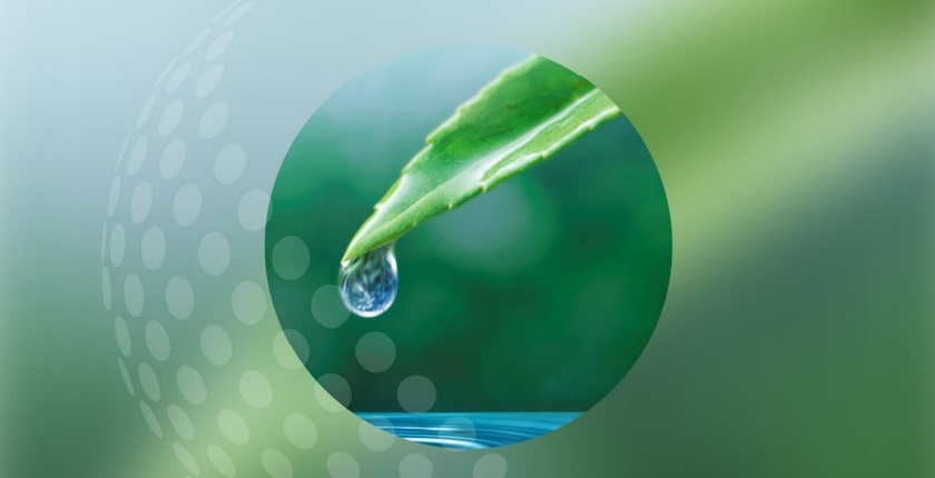 hrvatska vodonik studija plana razvoja i primjene hrvatske strategije za vodik